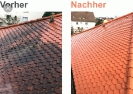 Fassadenreinigung_84