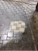 Fassadenreinigung_95