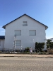 Streichen_81